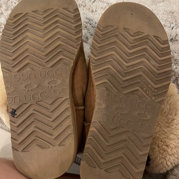 Ugg Classic Tall boot on Chestnut - Picture 6 of 6